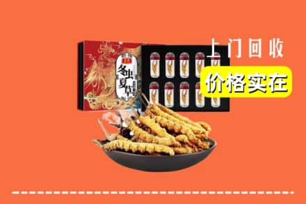 七台河桃山回收冬虫夏草